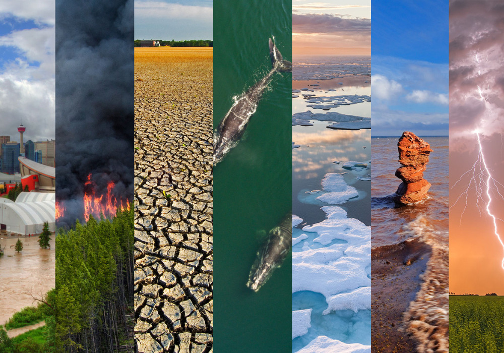 15 неожиданных последствий изменения климата