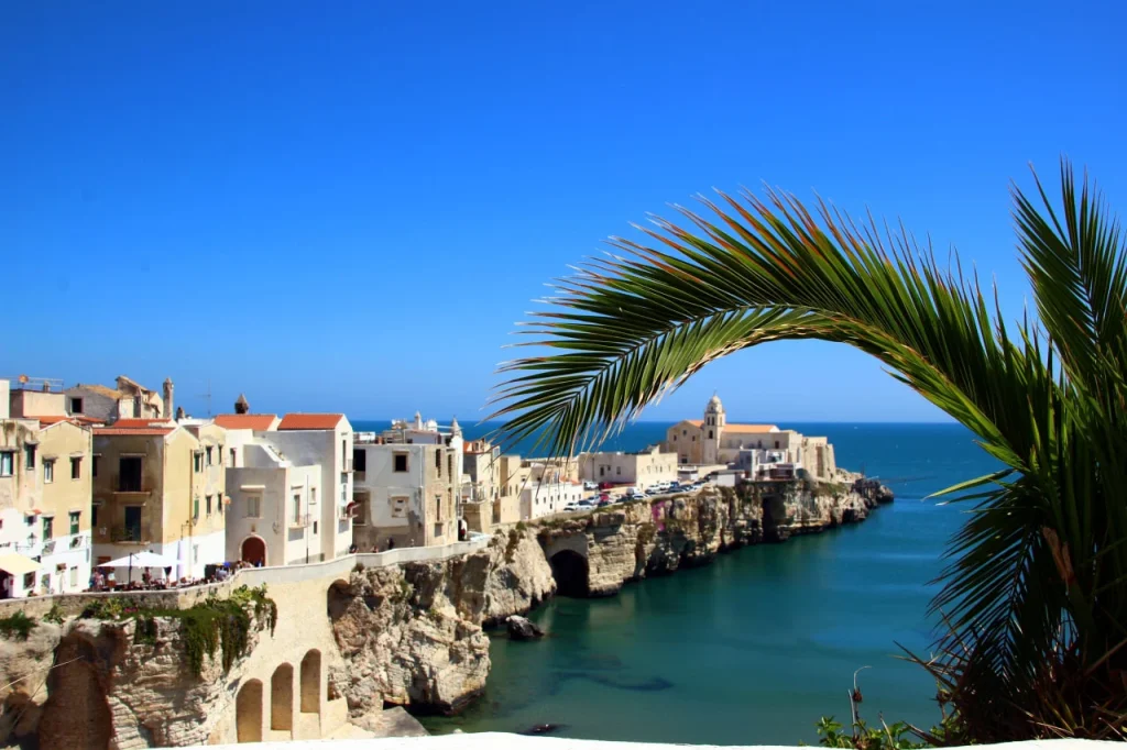 photo_2026-04-14_14-11-36_20260414_091158